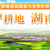 守好耕地粮满仓 科技赋能 守护耕地