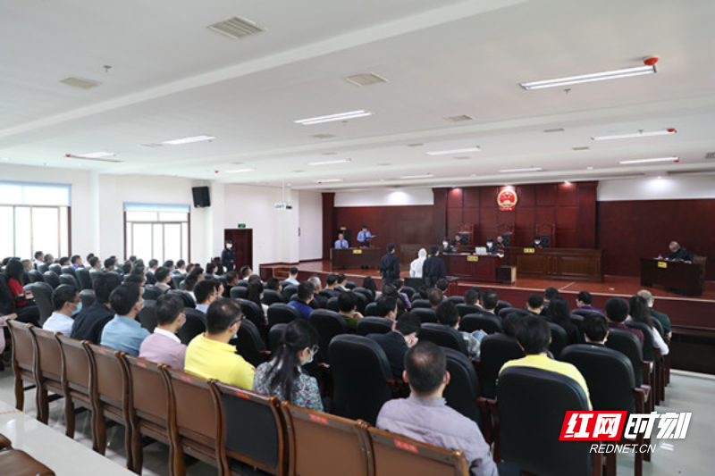 临武：做实做细案件查办“后半篇文章”