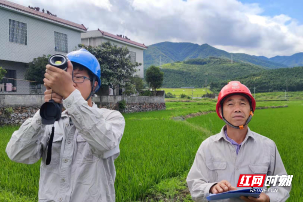 国网北湖区供电公司：电力服务“及时雨”助农田“解渴”