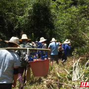 永兴县龙形市乡：党群连心，引水抗旱共解燃眉之急