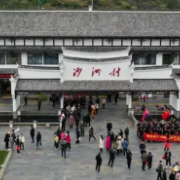 散文 | 沙洲三金花的电商路