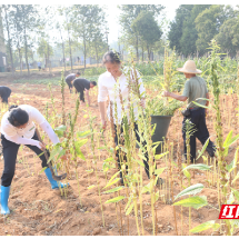 资兴：“开心农场丰富居民精神生活