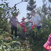 高温送“清凉”真情舒人心——仰天湖瑶族乡走访关心林农