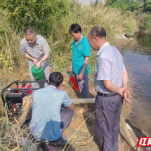 嘉禾县行廊镇:抗旱救灾保民生，民兵在行动