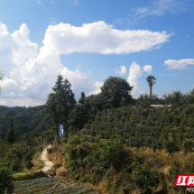 汝城县九龙瑶族村：  青山绿水幸福路