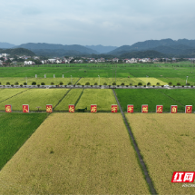 安仁高标准农田建设促农“旱涝保收”