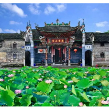 散文|过第一个教师节