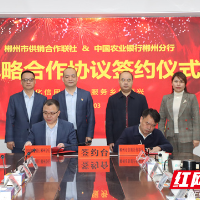 中国农业银行郴州分行与郴州市供销合作联社举办战略合作签约仪式