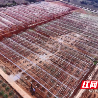 加快推进育秧工厂建设 确保粮食安全