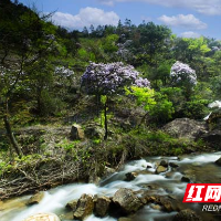 亲自然 | 临武：涤荡清愁春水流