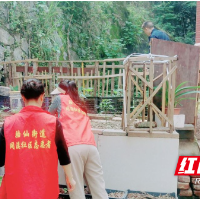 整治圈地种菜 复绿还绿于民