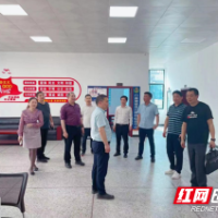 娄底市双峰县医保局来白露塘镇考察学习医保工作