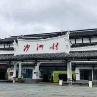 沙洲日记｜沙洲溢书香，书香伴我成长