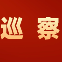 临武：巡察助力！解264名职工“忧薪事”