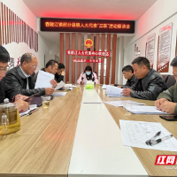 桂阳舂陵江镇：打造“123”模式，凸显代表担当