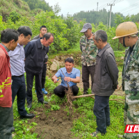 郴州市科协送科技下乡 助力盆洞村油茶高产丰产