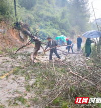 宜章关溪乡：村民代表搭好“连心桥” 筑牢“防护墙”