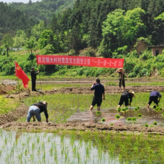 永兴县黄泥镇：党建引领 护航粮食安全