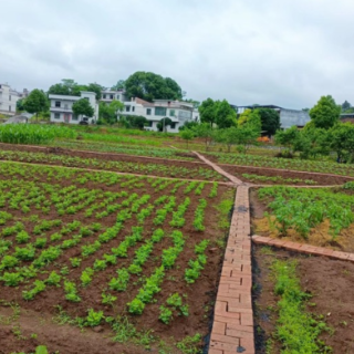 永兴县高亭村：推进四园建设 打造美丽乡村