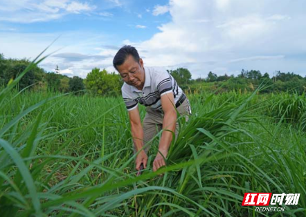 邓高兴：军装还绿鱼悠然