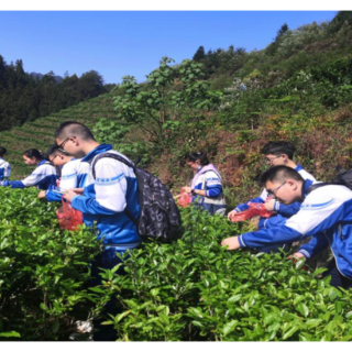 汝城一中：让学生在实践中感悟劳动之美