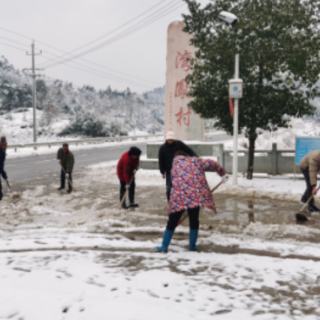 嘉禾县袁家镇：迎战冰雪保民生