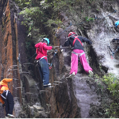 国庆一周 玩转郴州｜宜章莽山：文旅活动精彩纷呈 旅游热度持续飙升