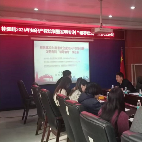 桂阳县：加强知识产权保护助力企业发展