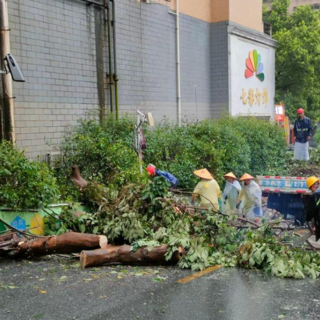 以雨为令！北湖区城管系统全力以赴筑牢城市安全防线