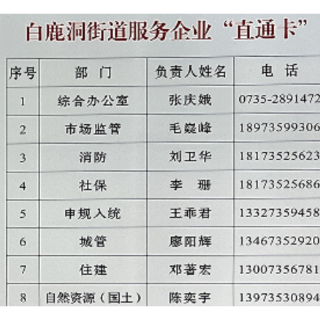 苏仙区白鹿洞街道：特制“硬通货”护航企业发展