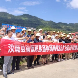 汝城：臻两优8612交出高产优异“答卷”