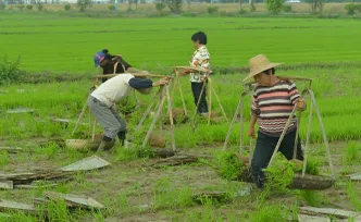 组图｜安仁五一：农民用大干快干 谱写“打好春耕仗 劳动夺丰收”答卷