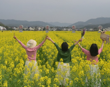 组图 | 安仁县：油菜花海涌动“乡村游”热浪