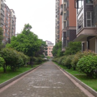 临武县城市花园：“红色业委会”点亮幸福家园