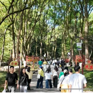 假期第二天,郴州持续火热!