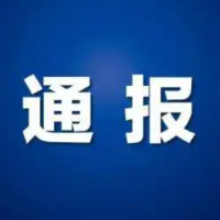 郴州市自然资源和规划局关于王某龙、李某平等人非法采矿和违法用地等4起违法犯罪典型案件的通报