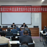 新天地集团召开直属党组织书记抓党建述职评议会