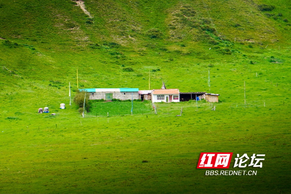 草原3.png 草原3.png