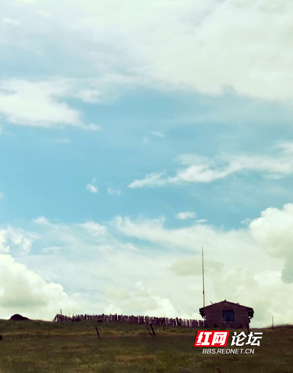 草原10.png 草原10.png