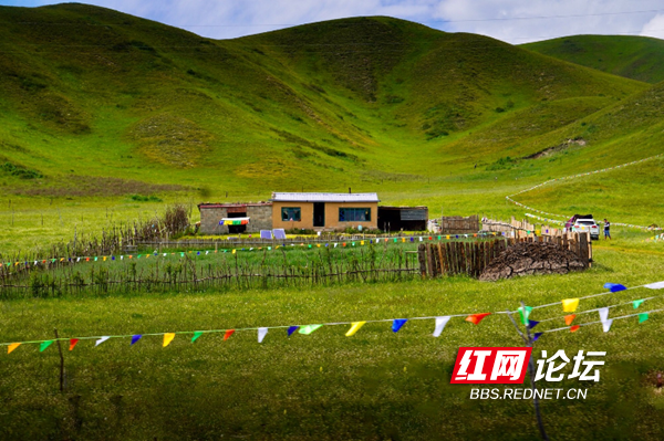 草原6.png 草原6.png