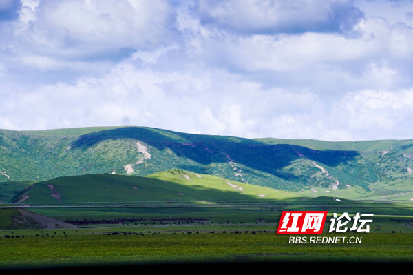 草原1.png 草原1.png