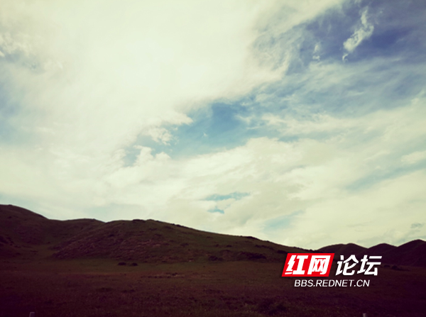 草原7.png 草原7.png