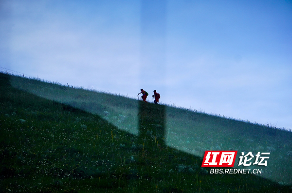 草原8.png 草原8.png