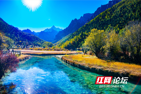 川西11.png 川西11.png