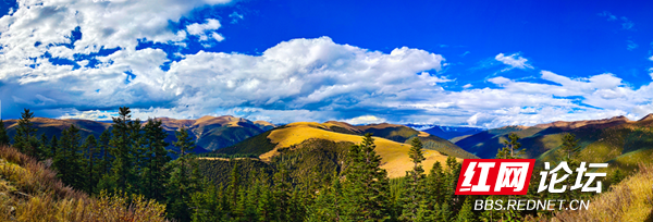 川西3.png 川西3.png