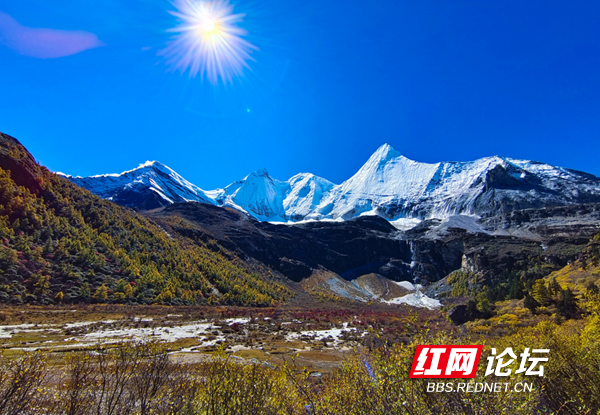 川西9.png 川西9.png