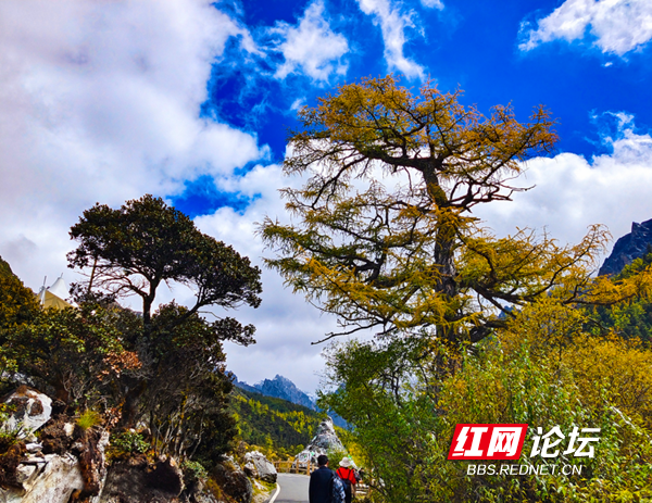 川西7.png 川西7.png