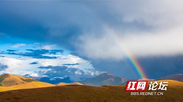 川西5.png 川西5.png