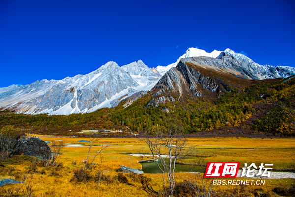 川西12.png 川西12.png