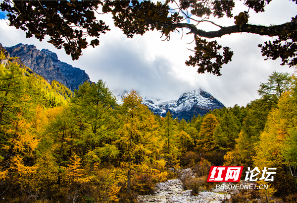 亚丁5.png 亚丁5.png